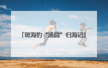 斑海豹“汤圆”归海记